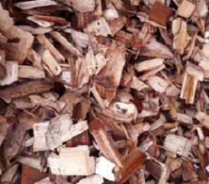 Các giải pháp kỹ thuật để làm giảm hàm lượng nhựa cây có trong nguyên liệu gỗ cứng - Keo