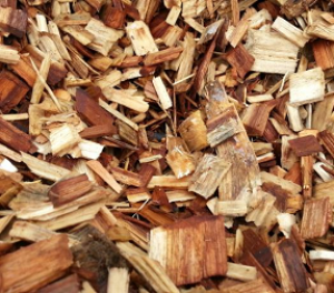 Các giải pháp kỹ thuật để làm giảm hàm lượng nhựa cây có trong nguyên liệu gỗ cứng - Keo -3