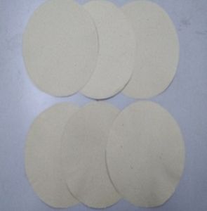 Sử dụng nấm mục trắng để sản xuất bột giấy sinh học từ rơm lúa và bã mía
