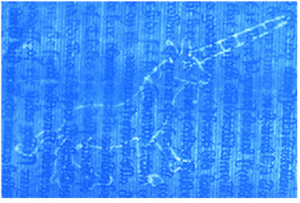 Giấy bảo an và giấy in hóa đơn tài chính