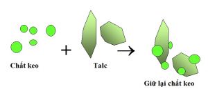 Sử dụng bột talc để làm giảm các chất keo có trong nước trắng của quá trình sản xuất giấy từ bột giấy tái chế
