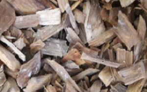 Các giải pháp kỹ thuật để làm giảm hàm lượng nhựa cây có trong nguyên liệu gỗ cứng - Bạch đàn -3