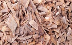 Các giải pháp kỹ thuật để làm giảm hàm lượng nhựa cây có trong nguyên liệu gỗ cứng - Bạch đàn -4