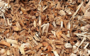 Các giải pháp kỹ thuật để làm giảm hàm lượng nhựa cây có trong nguyên liệu gỗ cứng - Bạch đàn -5