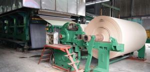 Giấy Hoàng Hà Hải Phòng (HHP) thay đổi nhân sự cấp cao