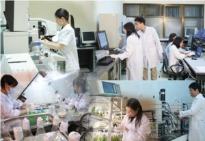 16 vị trí việc làm trong tổ chức khoa học và công nghệ công lập