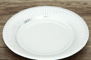 Đĩa giấy Việt Nam xuất khẩu sang Mỹ bị áp thuế chống trợ cấp tạm thời