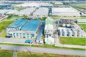 Đầu tư dự án bao bì hơn 15 triệu USD trong cụm công nghiệp Nghĩa An (Ninh Giang)