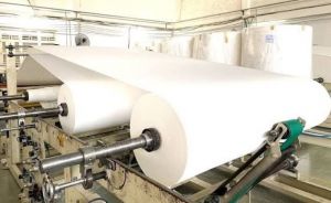 Kim ngạch xuất khẩu giấy tăng trưởng khá trong nửa đầu năm 2026