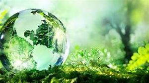Nghị định mới quy định về xử phạt vi phạm hành chính trong lĩnh vực bảo vệ môi trường